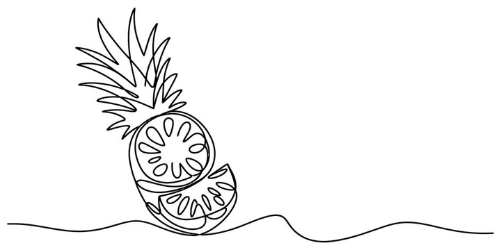 Continuous single line drawing of a fresh pineapple fruit cut into slices in a simple minimalist style for modern tropical food art isolated on transparent background, Vector