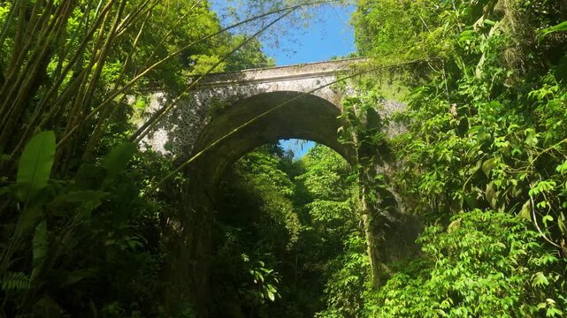 Old stone arch bridge stands surrounded by dense tropical foliage and bamboo near Cascade Absalon in Martinique rainforest