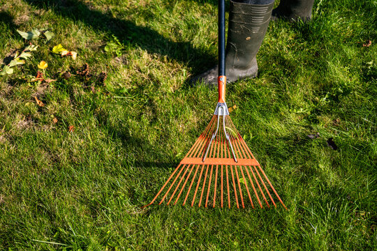 Orange leaf rake on green grass lawn during yard maintenance