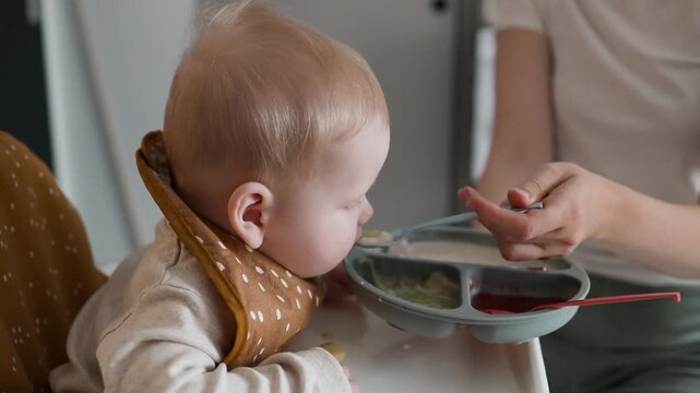 A close-up shot of a sweet caucasian infant wearing a brown bib and sitting in a high chair during mealtime. Parent's hand holding a spoon to feed the cute toddler with healthy porridge or solid food