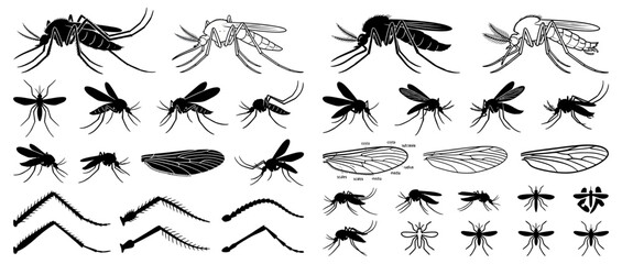Fototapeta premium Mosquito Silhouettes and Line Art Elements Collection