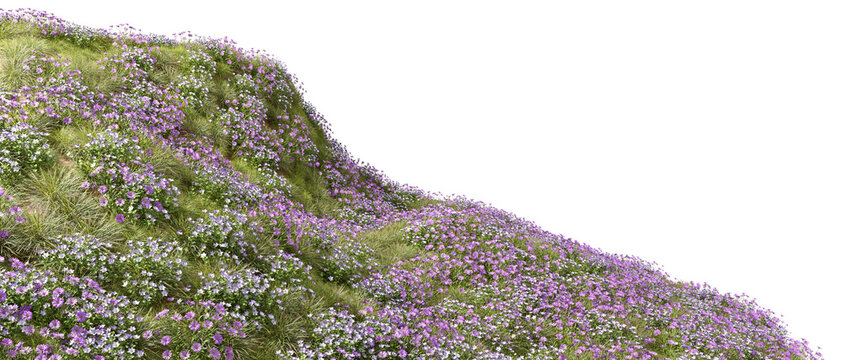 Blossoms vibrant nature flowery slope on transparent background 3d rendering png