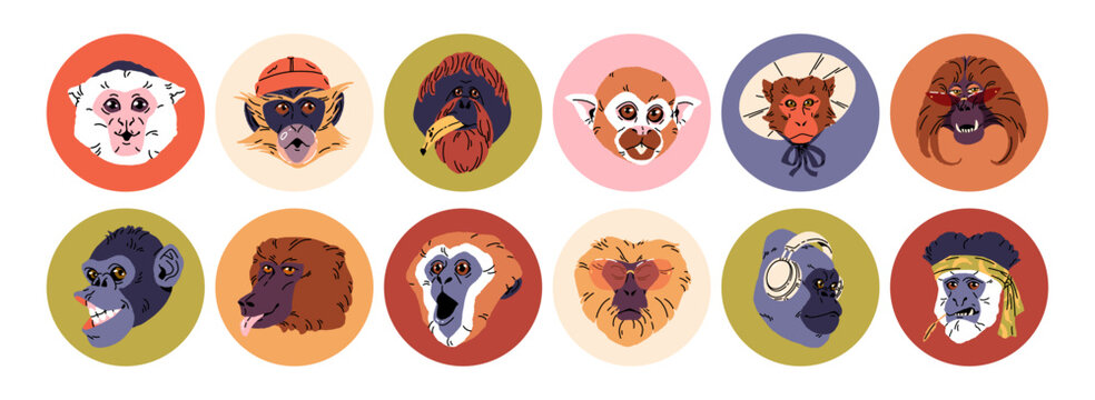 Circle avatars of funny monkeys set. Cute portraits of primates in round frames. Faces of chimpanzee, capuchin, orangutan, marmoset with different emotions. Flat isolated vector illustrations on white