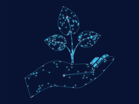 Glowing digital seedling sprouting inside wireframe human hand graphic