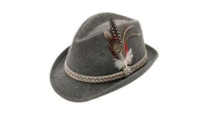 Classic grey felt alpine tyrolean hat with feather isolated on transparent background © Harry