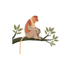 Proboscis Monkey Sitting on Branch Vector Illustration © Imaginaria visuals