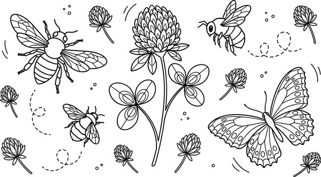 Clover flower line art vector elements set featuring hand drawn bumble bees, monarch butterfly, shamrock leaves, honeybee flight trails, and meadow botanical doodles for honey packaging design.