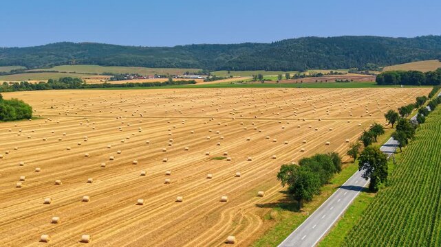 Straw bales across a harvested field in Slovakia. An aerial view shows cylindrical bundles beside a tree lined road, with wooded hills beyond.