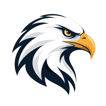 Bold Eagle Head Illustration with White Feathers and Orange Beak