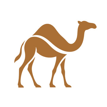 Brown Camel Silhouette Standing in Profile