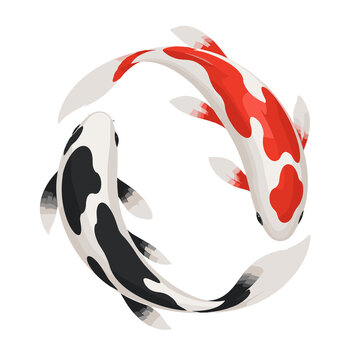 Colorful Koi Fish Circle Abstract