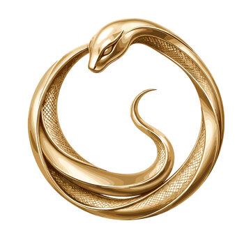 Elegant Golden Snake Circular Emblem