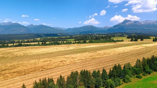 Harvested fields beneath a mountain range in Slovakia. Parallel stubble lines fill the foreground, with conifers and rocky peaks under a blue sky.