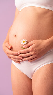 Pregnant woman holding a small daisy flower against her belly on a soft purple background