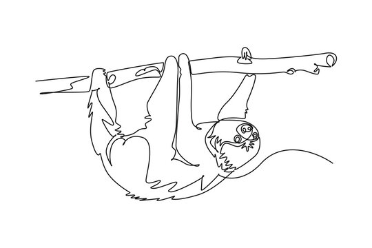 Single one line drawing animal sloth hanging upside down on a tree branch. Tropical jungle fauna conservation, and exotic nature biodiversity. Continuous line draw design graphic vector illustration