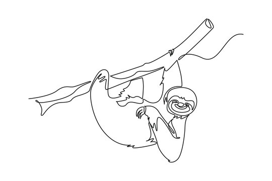Continuous one line drawing animal sloth hanging upside down from tree branch, tropical rainforest wildlife, slow mammal nature, lazy fauna beauty. Single line draw design vector graphic illustration