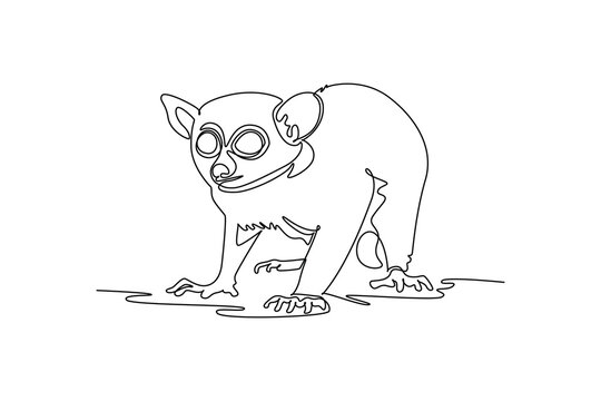 Continuous one line drawing wild tarsier animal staring alertly forward, nocturnal rainforest wildlife, tropical jungle creature biodiversity, eyes. Single line draw design vector graphic illustration