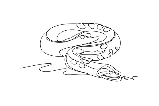 Continuous one line drawing wild python snake coiled closely on the jungle ground with patterned scaly body. Stealthy tropical rainforest reptiles. Single line draw design vector graphic illustration