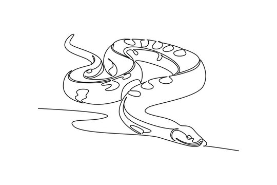 Single continuous line drawing wild snake animal slithering gracefully, tropical jungle reptile biodiversity, exotic fauna, and serpent nature beauty. One line draw graphic design vector illustration