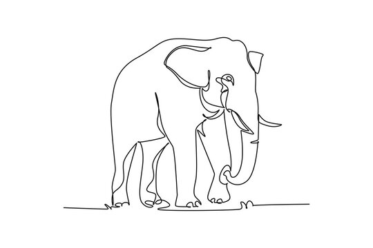 Single continuous line drawing wild elephant walking forward with a curved trunk, large tusks, and ears. Powerful of the endangered rainforest animal. One line draw graphic design vector illustration