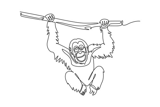 Single one line drawing wild orangutan animal hanging playfully from a tree branch. Endangered species conservation, exotic jungle biodiversity. Continuous line draw design graphic vector illustration