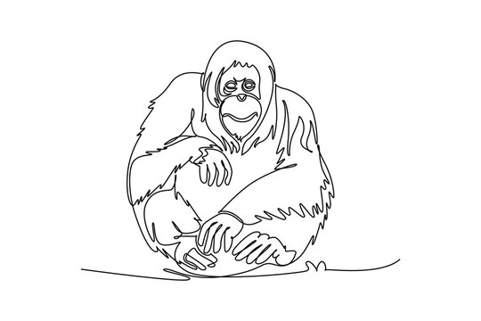 Single one line drawing wild orangutan animal sitting calmly, endangered species conservation, biodiversity protection, tropical jungle fauna. Continuous line draw design graphic vector illustration