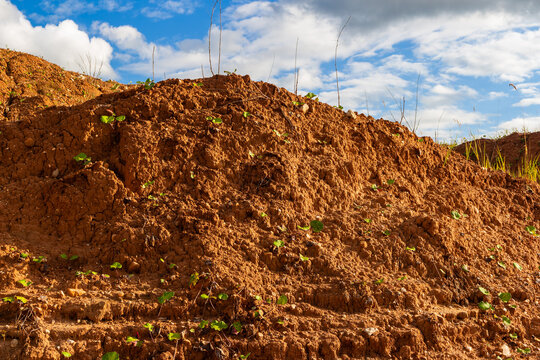 Cracked red clay hill with small green sprouts rising from arid soil under a cloudy blue sky creating a contrast between dry earth and new life in natural landscape