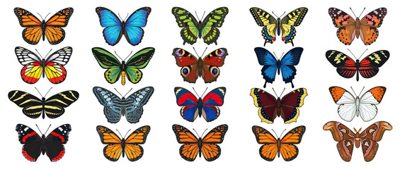 Obraz premium Collection of Diverse Butterfly Illustrations on Transparent Background