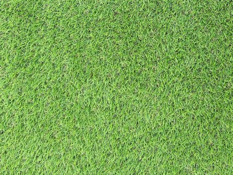 一面に広がる緑の芝生テクスチャ