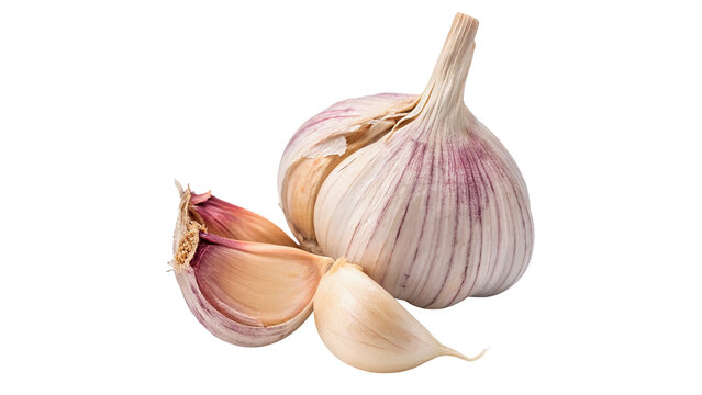 Fresh raw garlic bulb and cloves layout isolated on transparent background