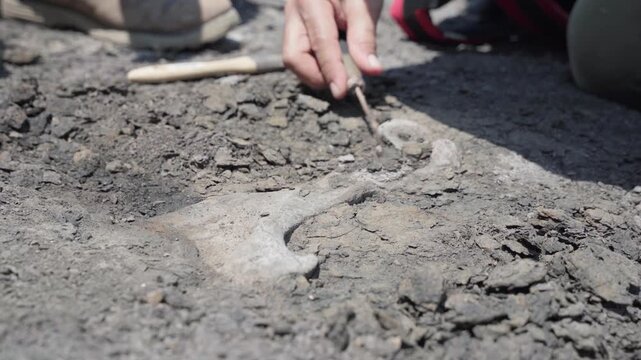 Two paleontologists using a brush and a pickaxe to unearth a fossil on the banks of the Amazon River.