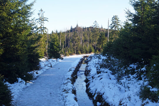 Torfhaus Harz Wanderweg im Winter