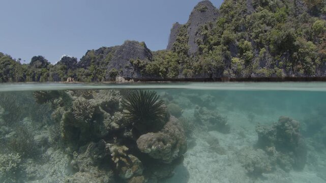 Splitted above and underwater shot of the healthy coral reef on a shallow area on the island of the Misool Archipelago, West Papua, Indonesia