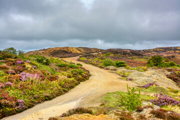 Obraz premium Parys Mountain Anglesey, Wales 1 