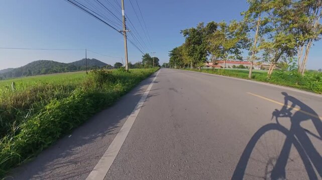 Cyclist shadow moving along a scenic rural road beside green rice fields, with distant mountains, trees and warm golden sunlight creating a peaceful countryside scene.