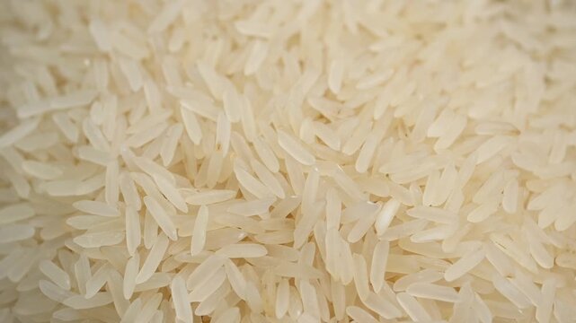 Close-up cinematic motion of white rice grains, a staple food moving in a dynamic and fresh agricultural background.