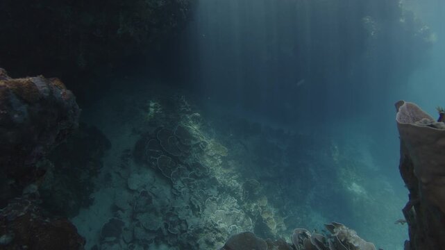 Underwater seascape with caverns of intricate shape on one of the islands of the MIsool Archipalago, Raja Ampat, West Papua, Indonesia