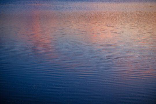Tranquil water surface with gentle ripples reflecting vibrant sunset colors of pink and deep blue at dusk on calm lake
