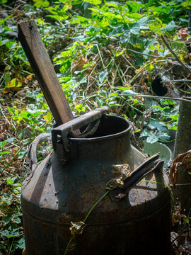 Old rusty metal milk can abandoned in a lush overgrown garden, surrounded by wild green vegetation, vines, and branches. Weathered agricultural container with a wooden handle, rusty surface, and stron