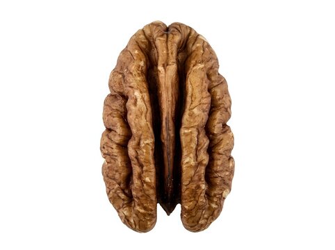 Walnut kernel halves showing interior texture and natural ridged surface pattern on white background