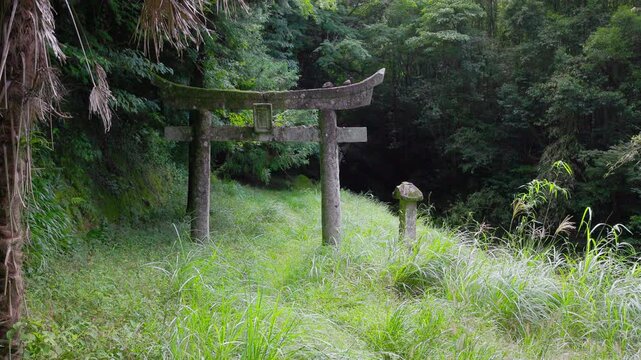 夏の森の草地に佇む苔むした石鳥居と石灯籠　山奥の神社の静かな風景