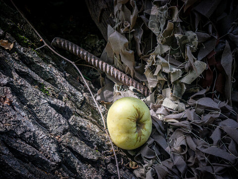 A close-up shot of a single ripe yellow apple resting on a rough, dark tree trunk texture. In the background, a piece of rusty ribbed steel rebar and a draped military camouflage net add a gritty