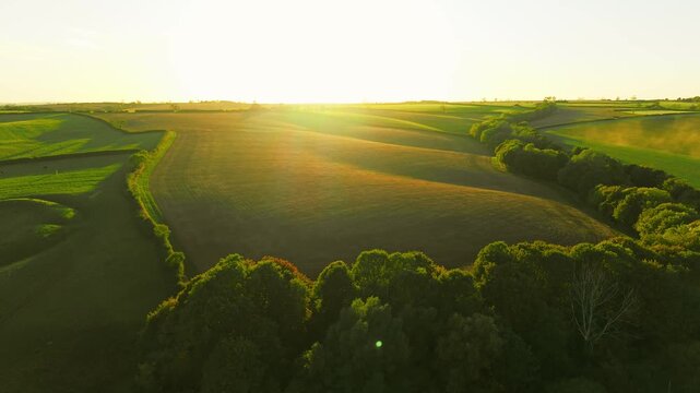 Sunset over rolling agricultural fields with hedgerows and woodland. Low sunlight across cultivated farmland. Rural countryside with green fields, long shadows and trees along field boundaries