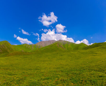 Vibrant Green Mountain Meadow Under Clear Blue Sky