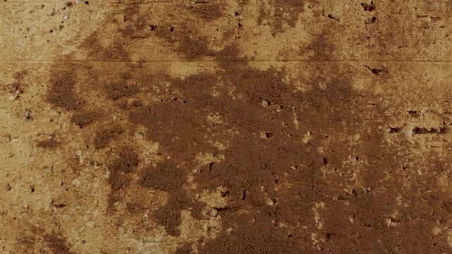 Weathered Brown Porous Masonry Surface Texture
Close-up footage of a rough brown masonry surface with porous structure, stains, erosion and uneven weathering, creating an earthy aged construction text