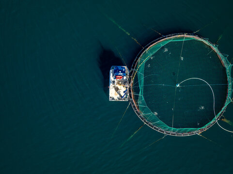 Aerial view of a circular salmon farm net with a service boat in the deep blue waters of the fjord in Gratangen, Norway.