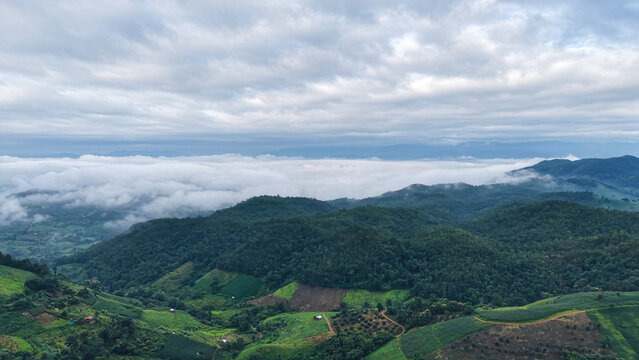 Aerial landscape view of mountains and foreston cloudy morning
