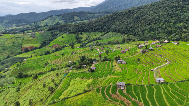 Aerial landscape view of rice terrace and wooden huts in the mountains