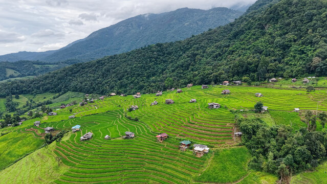 Aerial landscape view of rice terrace and wooden huts in the mountains