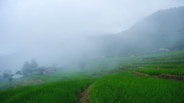 Rice terrace and wooden huts in the mountains on cloudy morning